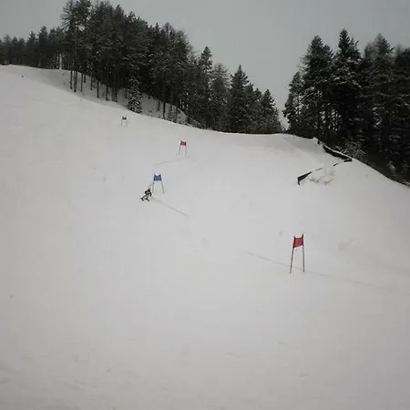 Bio-berghof * Niederthai