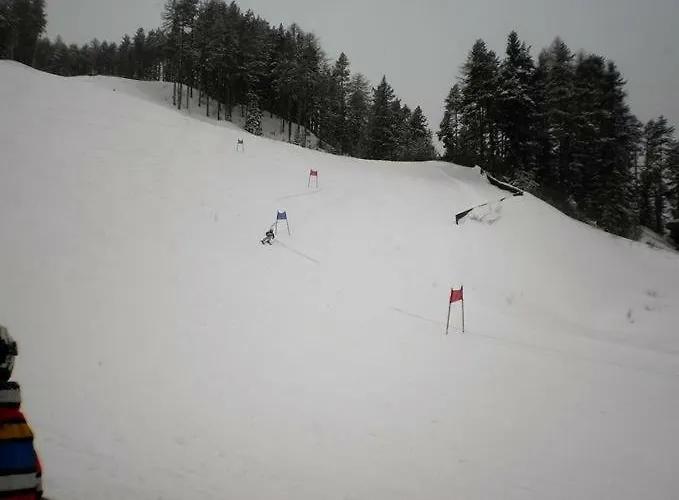 Bio-berghof * Niederthai