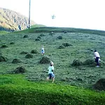 Bio-berghof